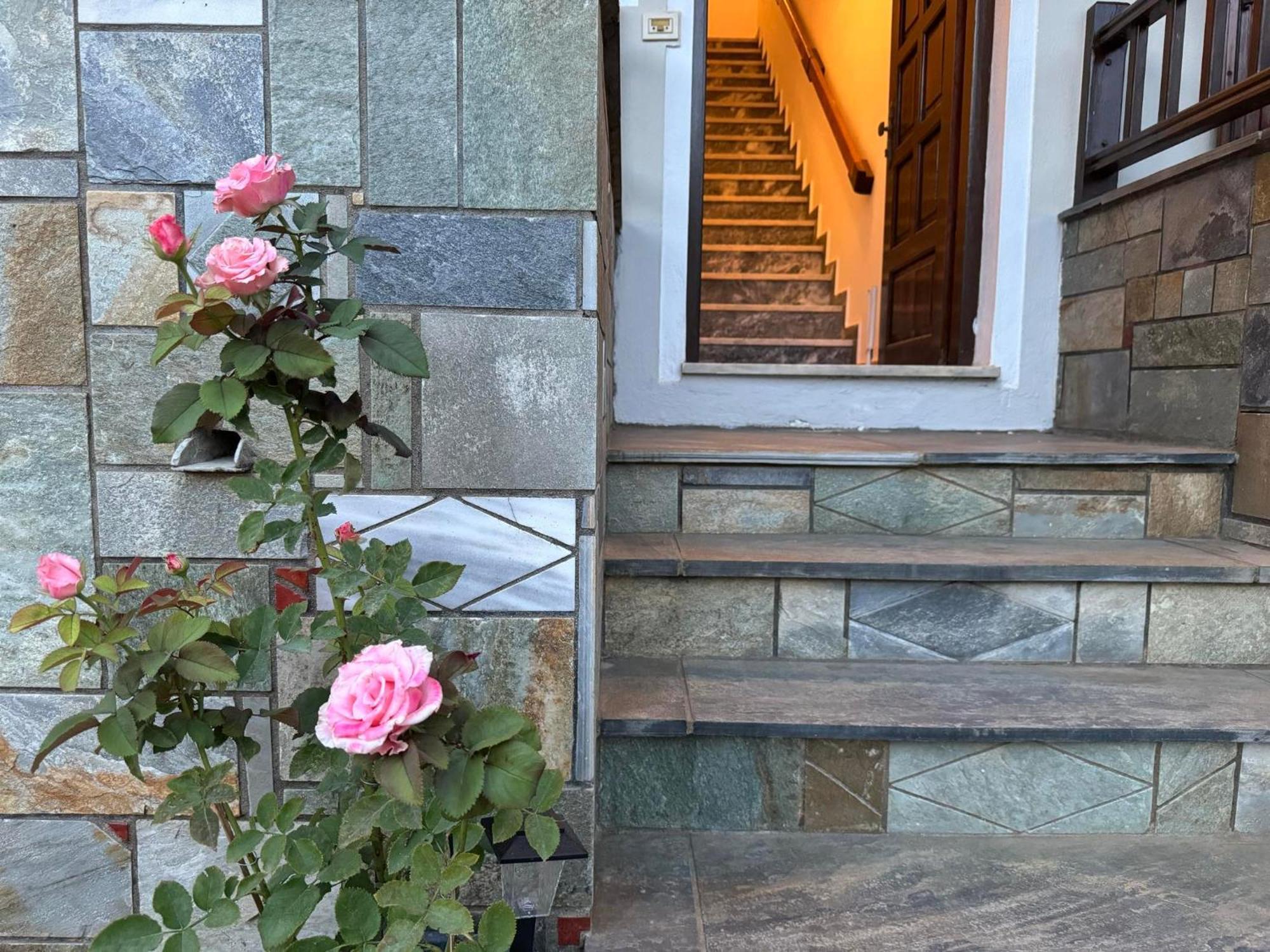 Tanias House Daire Platanias  Dış mekan fotoğraf
